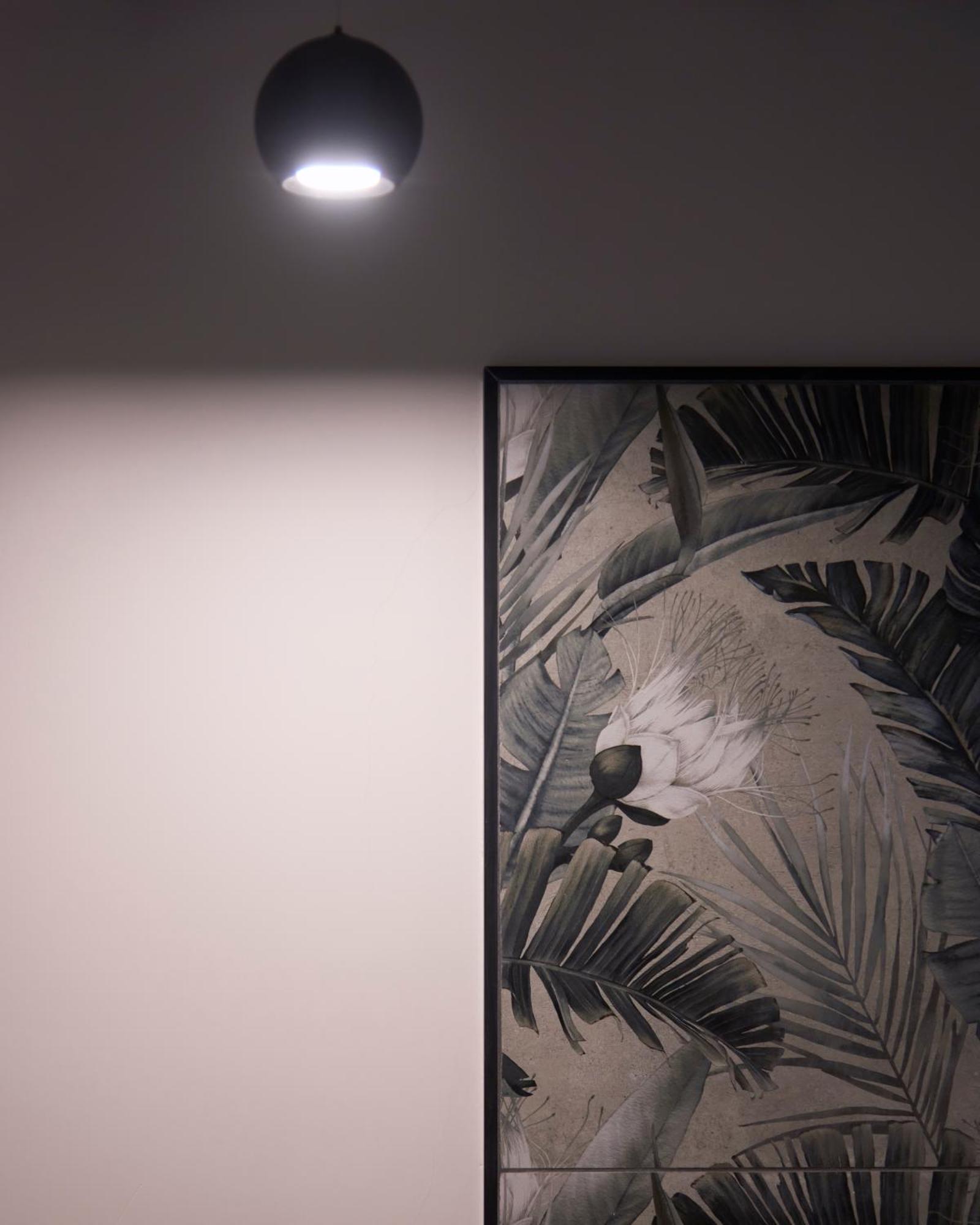 Cammarhouse Apartamento *